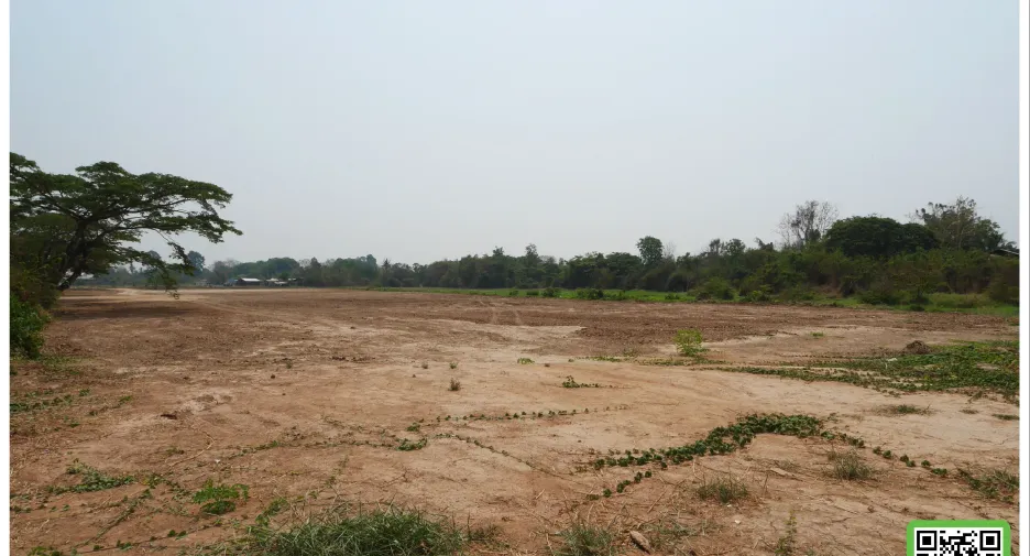 ขาย ที่ดิน ใน พิชัย, อุตรดิตถ์