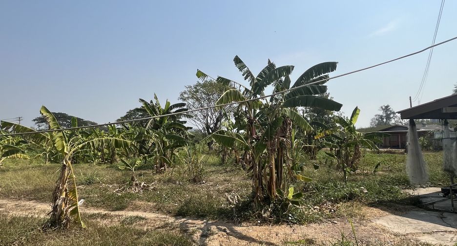 For sale land in Nakhon Luang, Phra Nakhon Si Ayutthaya