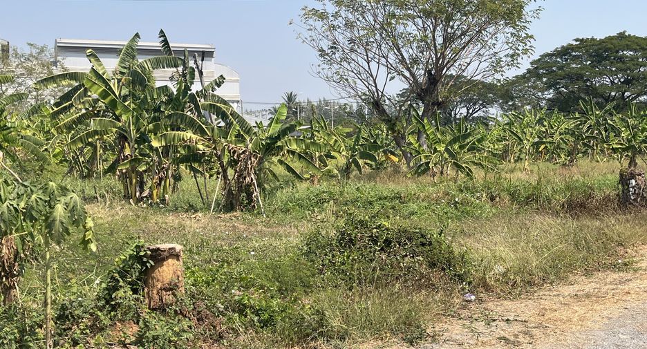For sale land in Nakhon Luang, Phra Nakhon Si Ayutthaya