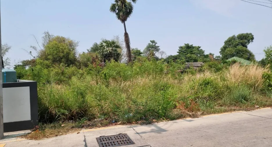 For sale land in Mueang Chon Buri, Chonburi