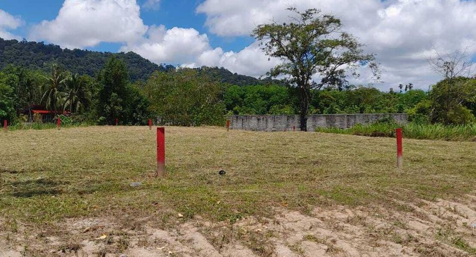 For sale land in Thalang, Phuket