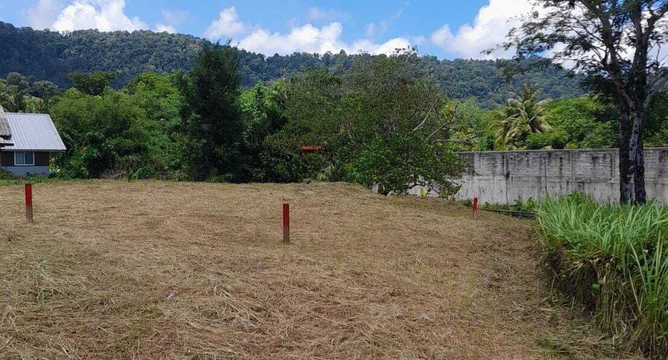 For sale land in Thalang, Phuket