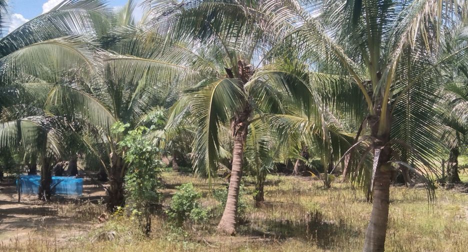 Terreno en venta en Huai Khot, Uthai Thani