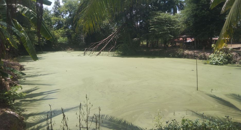 Terreno en venta en Huai Khot, Uthai Thani