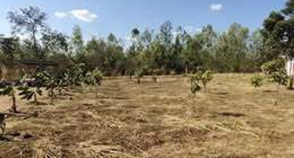 For sale land in Bueng Sam Phan, Phetchabun