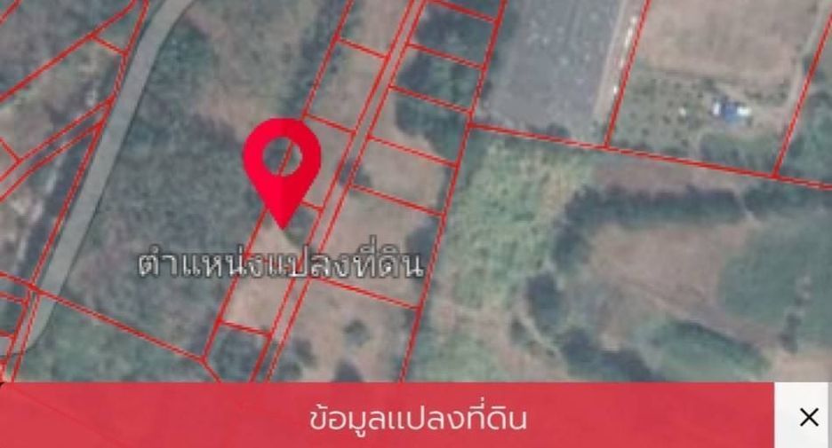 For sale land in Bueng Sam Phan, Phetchabun