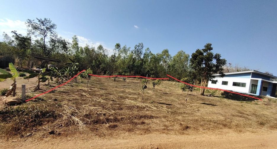For sale land in Bueng Sam Phan, Phetchabun