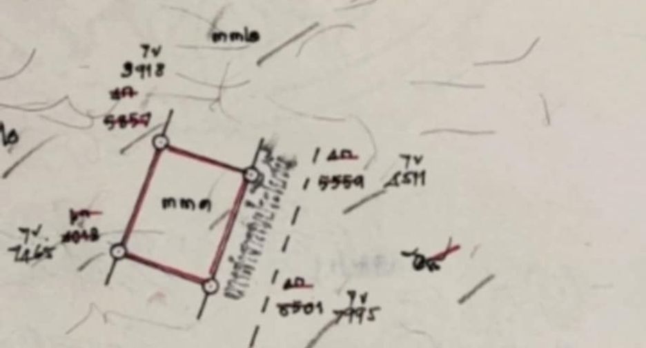 For sale land in Bueng Sam Phan, Phetchabun