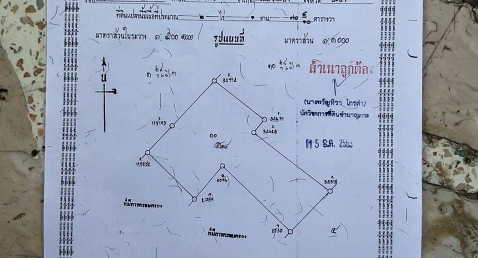 For sale land in Mueang Yala, Yala