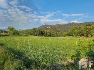 For sale land in Chiang Dao, Chiang Mai
