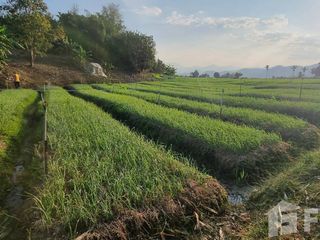 For sale land in Chiang Dao, Chiang Mai