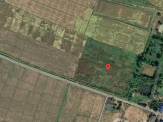 For sale land in Chiang Dao, Chiang Mai