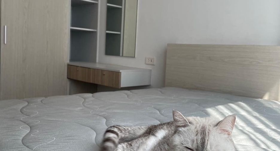 For sale 1 bed condo in Mueang Samut Prakan, Samut Prakan