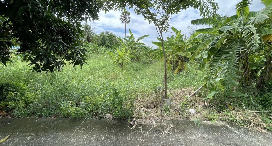 For sale land in Bang Yai, Nonthaburi