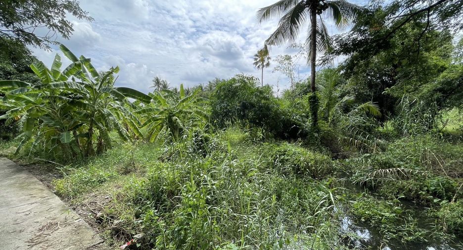 For sale land in Bang Yai, Nonthaburi