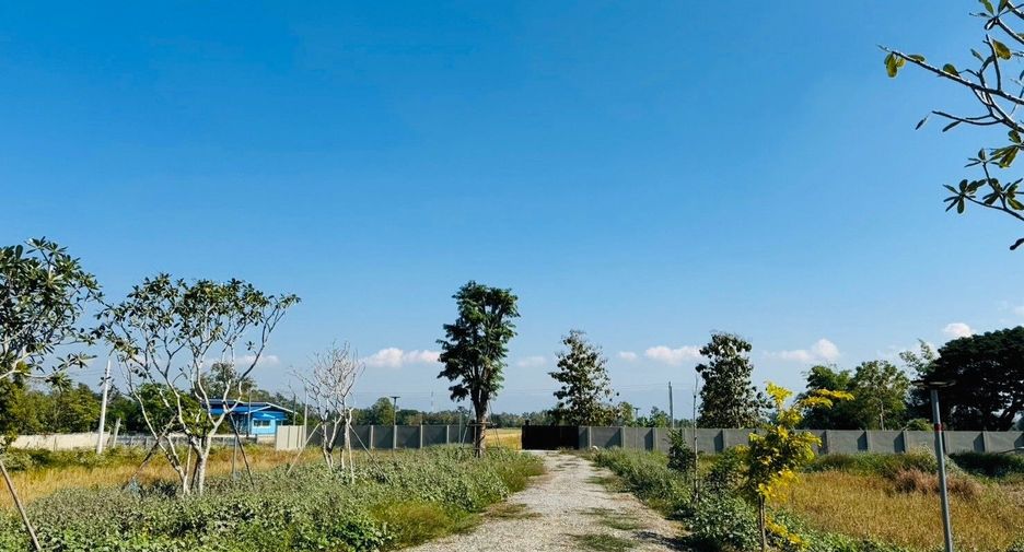 For sale 3 bedrooms house in Dok Khamtai, Phayao