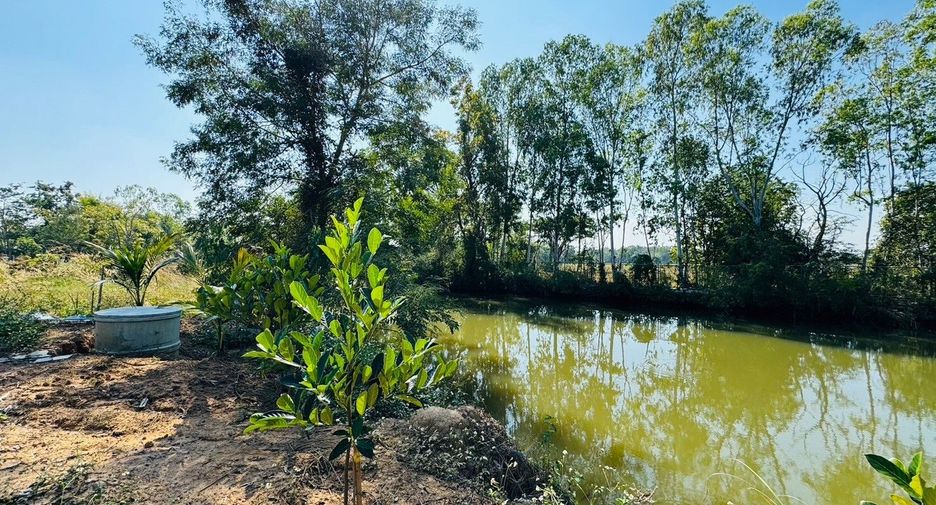 For sale 3 bedrooms house in Dok Khamtai, Phayao