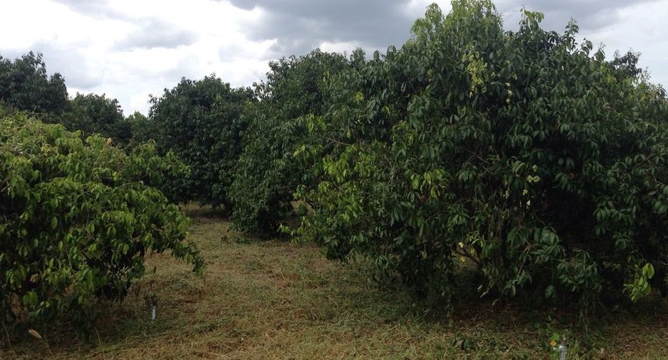 For sale land in Mueang Ratchaburi, Ratchaburi