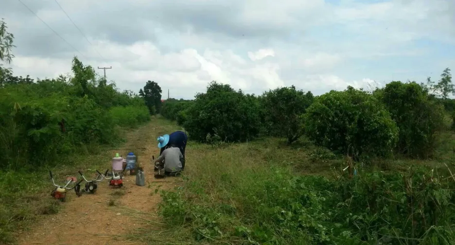 For sale land in Mueang Ratchaburi, Ratchaburi