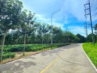 出售 土地 在 Pluak Daeng, Rayong