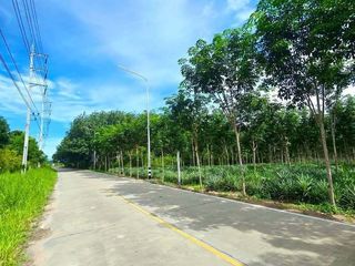 出售 土地 在 Pluak Daeng, Rayong
