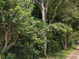 For sale land in Mueang Ubon Ratchathani, Ubon Ratchathani