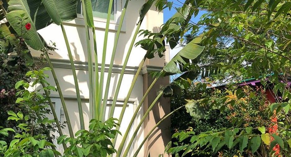 For sale 6 bedrooms house in Mueang Loei, Loei