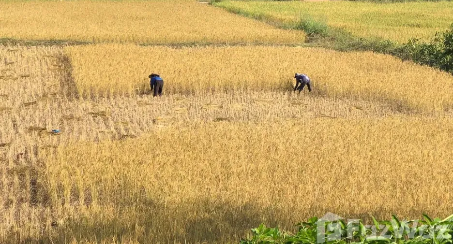 Продажа 6 спальни дом в Mueang Loei, Loei