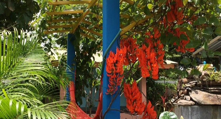 For sale 6 bedrooms house in Mueang Loei, Loei