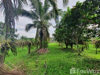Продажа Участок в Mueang Loei, Loei