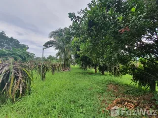 Продажа Участок в Mueang Loei, Loei