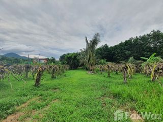 Продажа Участок в Mueang Loei, Loei