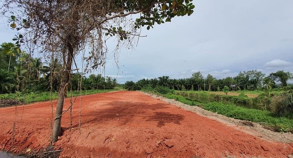 For sale land in Mueang Surat Thani, Surat Thani