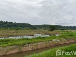 For sale land in Chiang Dao, Chiang Mai