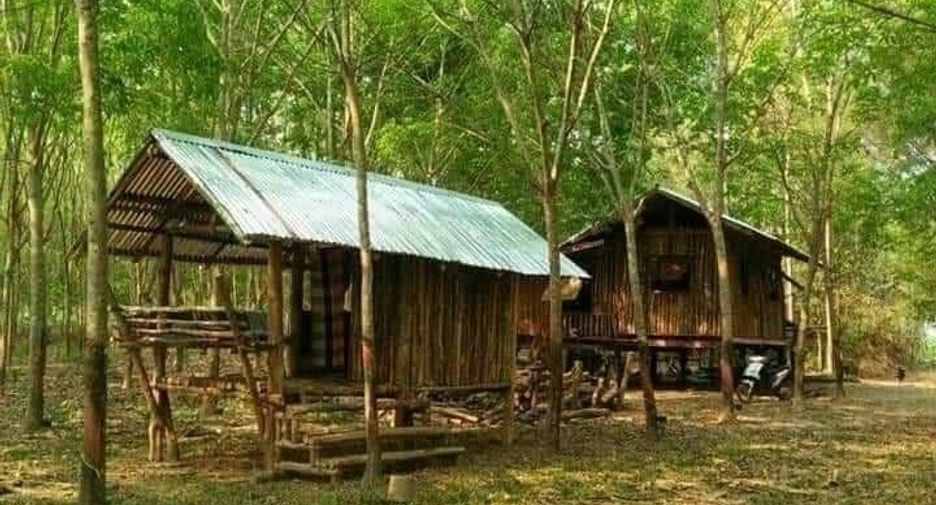 Grundstück zum Kauf in Seka, Bueng Kan