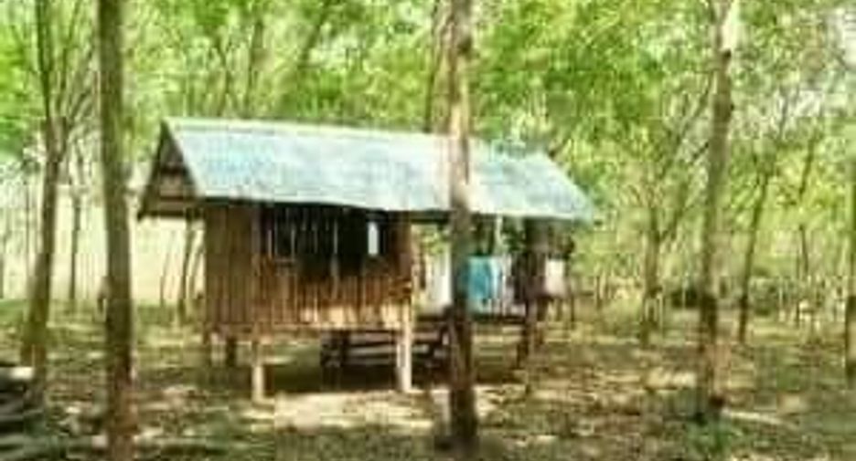 Grundstück zum Kauf in Seka, Bueng Kan