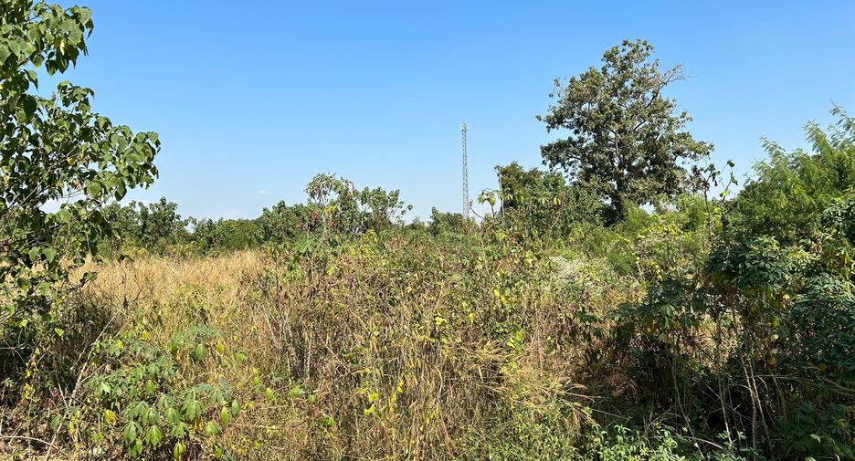 Grundstück zum Kauf in Mueang Kamphaeng Phet, Kamphaeng Phet
