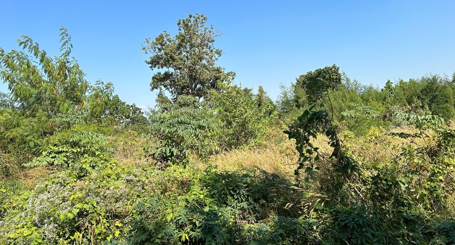 Grundstück zum Kauf in Mueang Kamphaeng Phet, Kamphaeng Phet