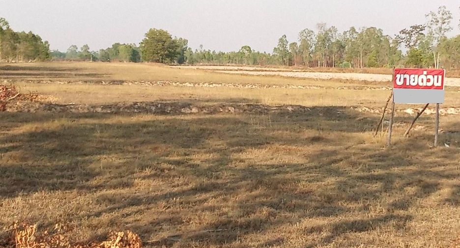 For sale land in That Phanom, Nakhon Phanom