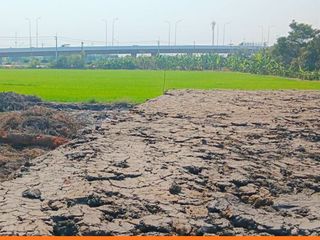 For sale land in Lat Lum Kaeo, Pathum Thani