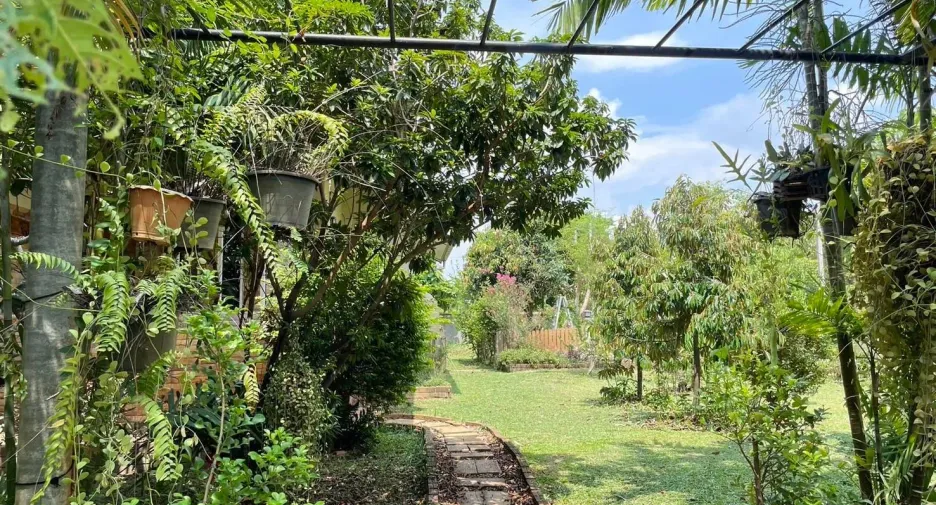 出售 3 卧室 独立屋 在 Mueang Chiang Rai, Chiang Rai