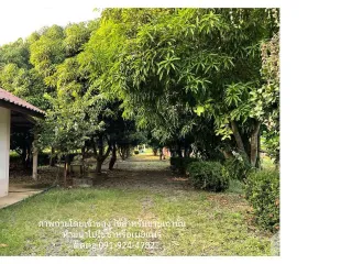 For sale land in Bang Pa-in, Phra Nakhon Si Ayutthaya