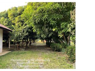 ขาย ที่ดิน ใน บางปะอิน, พระนครศรีอยุธยา