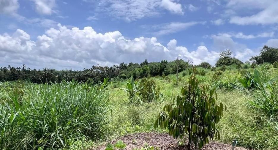 For sale land in Bo Rai, Trat