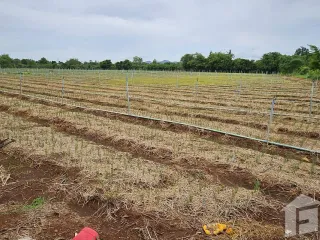 For sale land in Mueang Kanchanaburi, Kanchanaburi