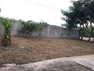 ขาย ที่ดิน ใน บางขุนเทียน, กรุงเทพฯ