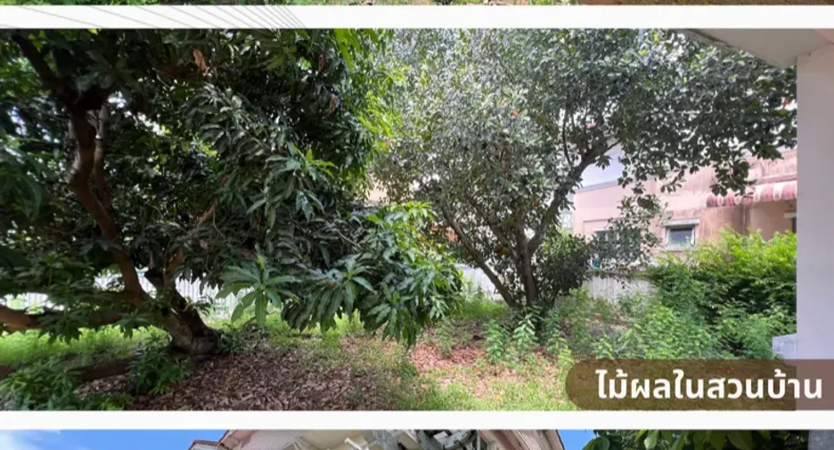 For sale and for rent 6 bedrooms house in Mueang Pathum Thani, Pathum Thani