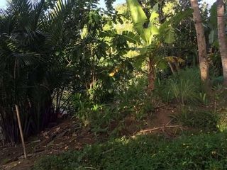 Продажа Участок в Mueang Surat Thani, Сураттани