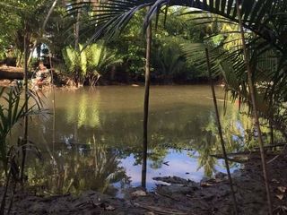Продажа Участок в Mueang Surat Thani, Сураттани