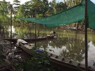 Продажа Участок в Mueang Surat Thani, Сураттани